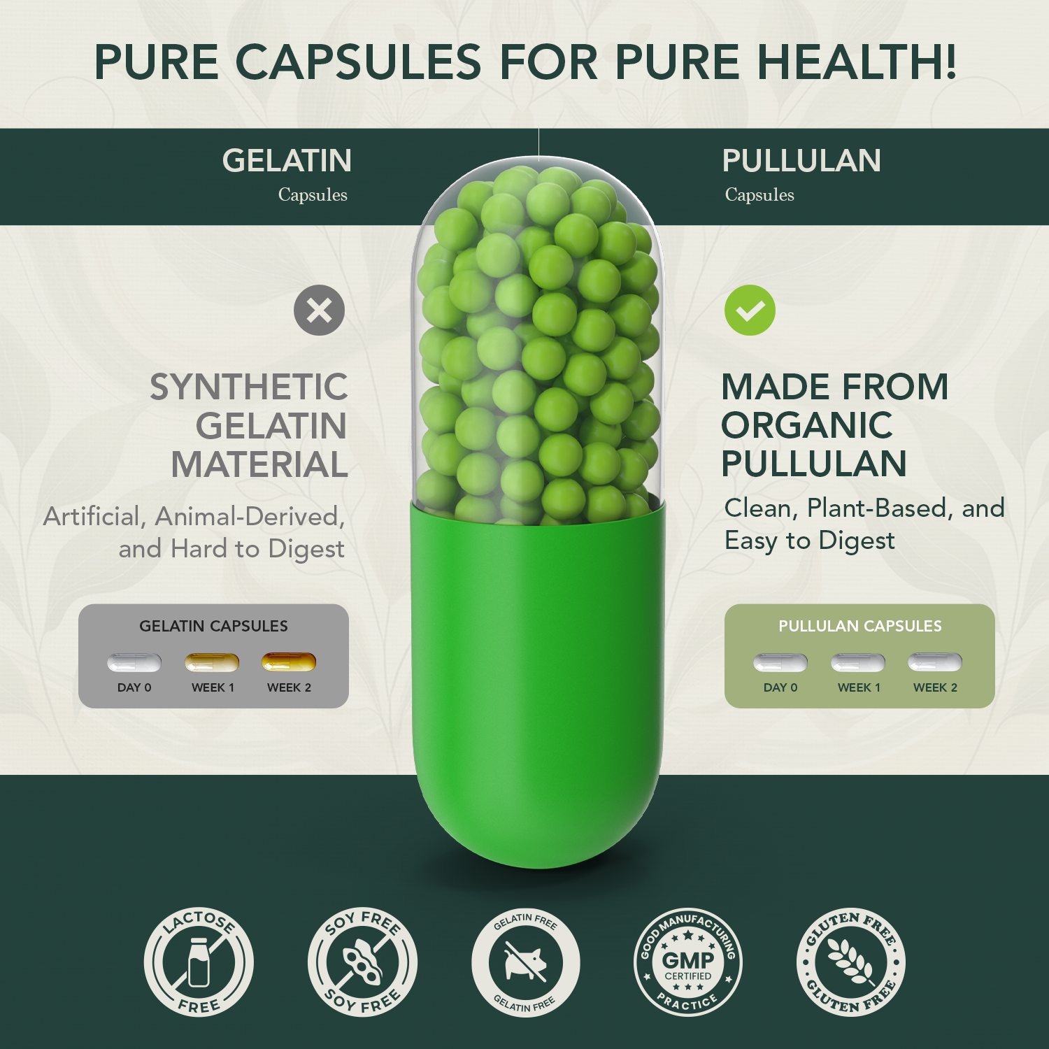 Adult Multivitamin